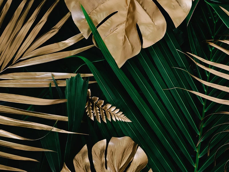 Desardi patterns3